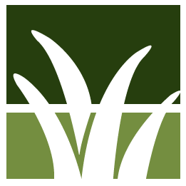 Winter Haven Lawn Clean Up