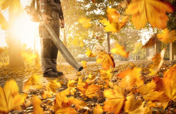 Leaf Blowing Service in Winter Haven