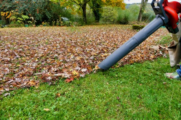 Leaf Vacuuming Service in Winter Haven