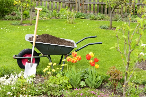 Spring Yard Cleanup in Winter Haven