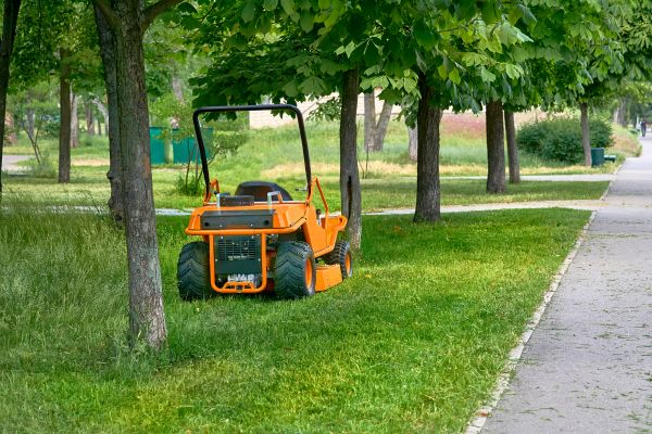 Landscaping Cleanup Service in Winter Haven