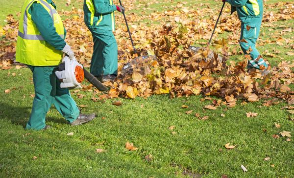Leaf Maintenance in Winter Haven