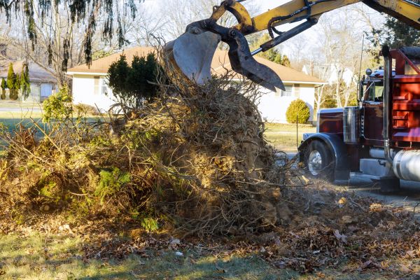 Storm Debris Removal in Winter Haven