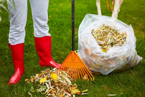 Leaf Disposal Service in Winter Haven
