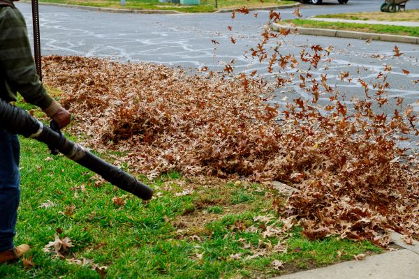 Garden Leaf Removal in Winter Haven