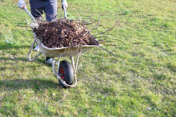 Yard Brush Removal in Winter Haven