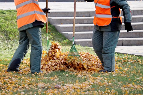 Leaf Hauling Service in Winter Haven