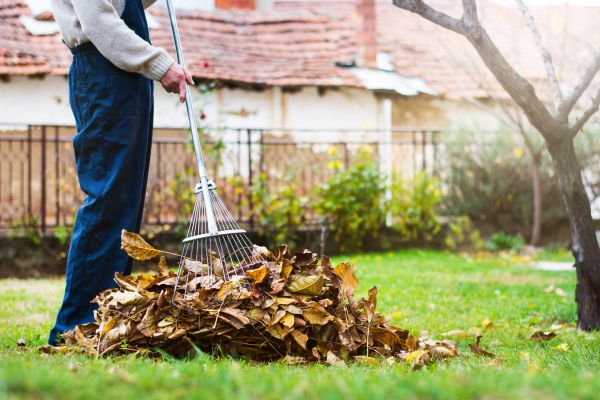 Spring Lawn Cleanup in Winter Haven