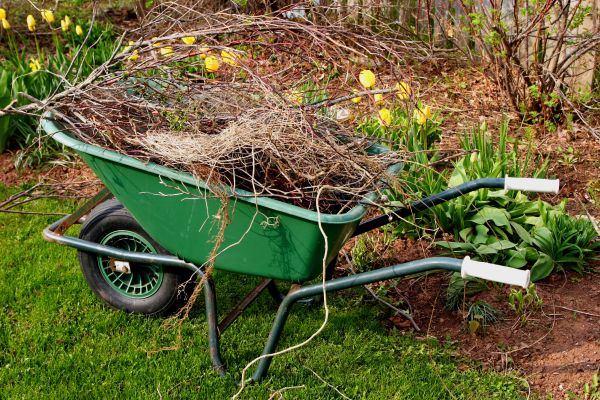 Lawn Waste Removal in Winter Haven