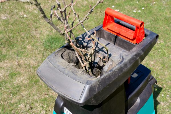 Cost of Brush Cleanup Service in Winter Haven