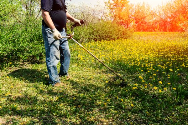 Cost of Yard Clearing Service in Winter Haven