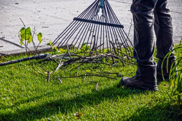 Yard Debris Cleanup in Winter Haven
