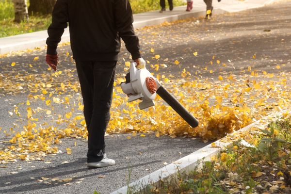 Commercial Leaf Removal in Winter Haven