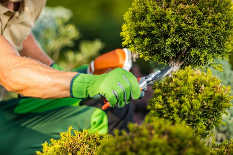 Garden Maintenance Specialists