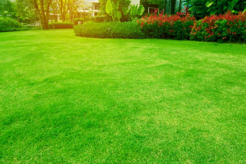 Customized Lawn Care Plans